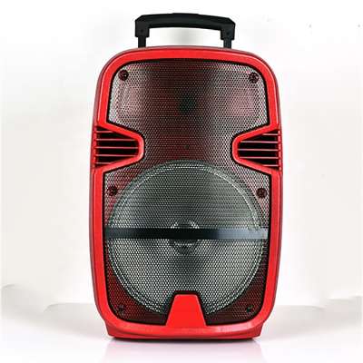 Portable Trolley Rechargeable 12inch Speaker with Lighting and USB SD Bluetooth FM Microphone Jack, Battery