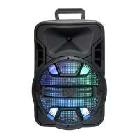 Promotion 12 Inch Portable Speaker with Wired Microphone RGB LED Light in Stock for Wholesale