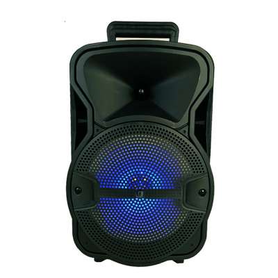 Hot Selling 8 Inches Outdoor Portable Speaker with Function USB/TF/FM/BLUETOOTH and RGB LED Woofer Light