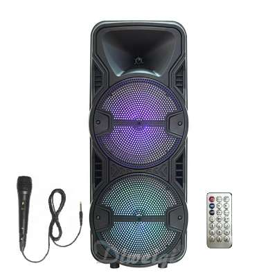 2019 Dual 8 Inches Portable Active Speakers with Battery LED Light